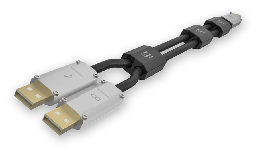 iFi Audio Gemini Dual-Headed USB Cable 0.7m
